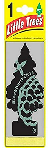 Blackberry Clove: Little Tree U6p-67343, Multi