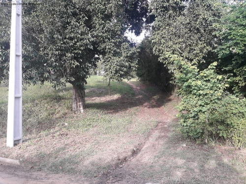 Imagem 4 de 6 de Terreno - Te00038 - 68741659