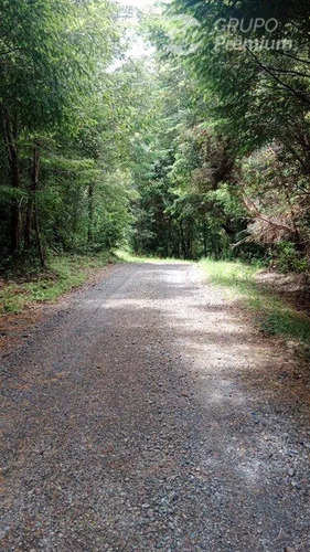 Hermosa Parcela En Pucón, Con Acceso A Termas, Sector Huife
