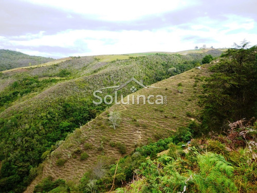 Imagen 2 de 18 de Haciendas - Finca En Venta, Mérida