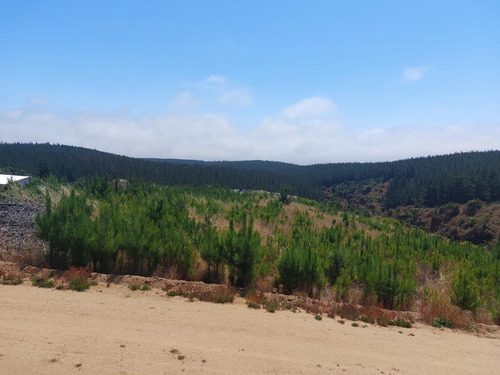 Oportunidad Venta De Parcela Pichilemu Playa Monaco