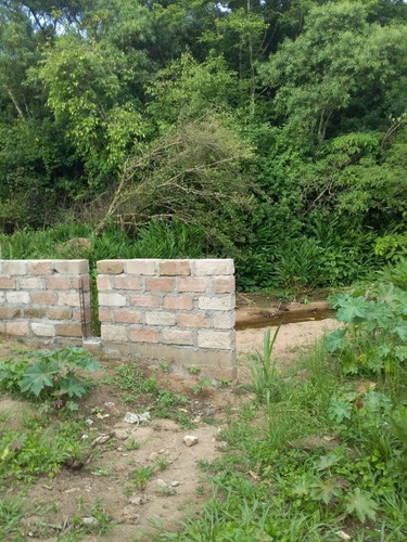 Terreno Em Vila Nova - Li50879502