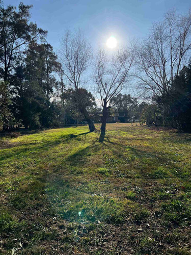 Imagen 11 de 15 de Lote Terreno Venta Mil Metros Excelente