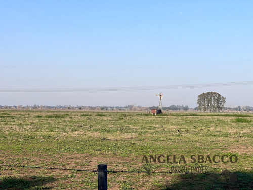 Excelente Campo Agrícola/ganadero!.
