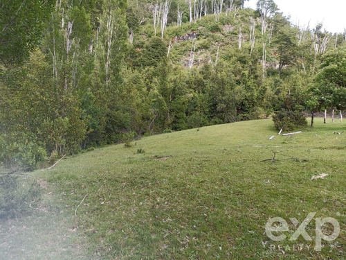 Sitio Para Inversión En Venta Futalefu