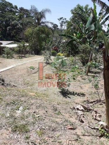 Imagem 11 de 12 de Chacara - Ref: 5247 - V-5247