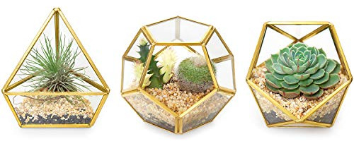 4 Inches Mini Glass Geometric Terrarium Container Set O...