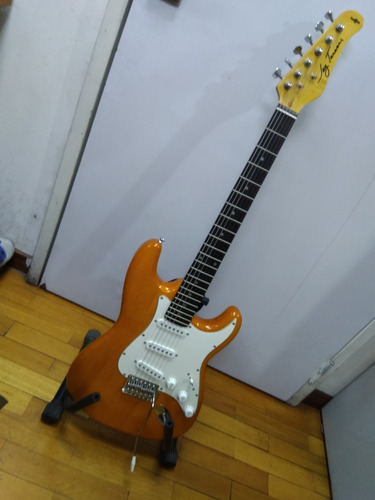 Stratocaster Jay Turser Jt-300-shg