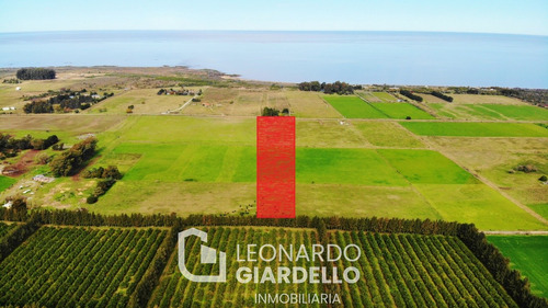 Colonia, Matamora - Campo De 5 Hectáreas A Metros De La Playa