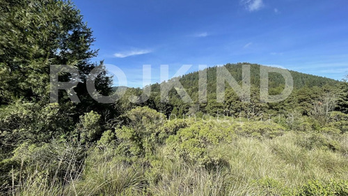 Imagen 24 de 27 de Terreno En Venta Salazar, Estado De México