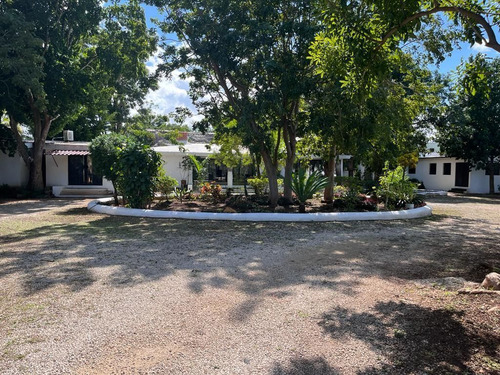 Casa En Renta Con Extenso Terreno Ideal Para Negocio Con Amplia Palapa