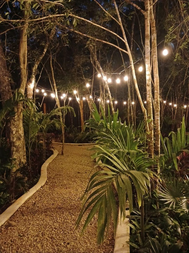 Venta De Terreno En Quintana Roo