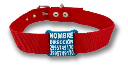 Collar Con Nombre Para Perro Talle 6 (43cm-53cm) + Chapita 