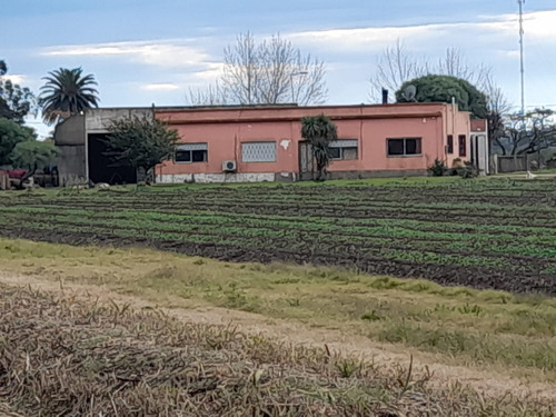 Muy Buena Chacra En Zona De Punta De Manga. Con Viviendas, Galpones, Laguna . Excelente Tierra