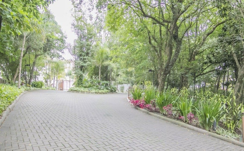 Imagem 14 de 19 de Apartamento Morro Santana Porto Alegre - 7889