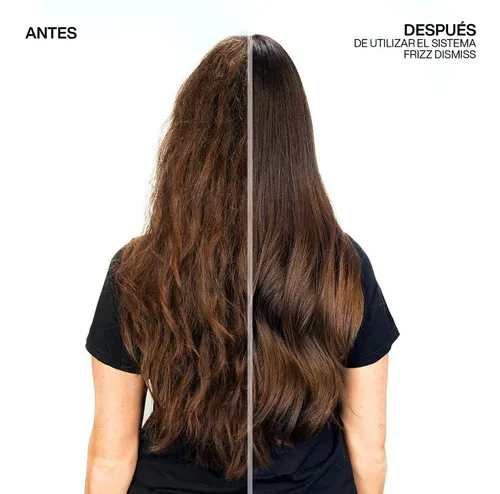 Shampoo Frizz Dismiss Redken 300ml