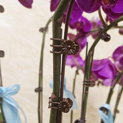 100 Piezas Clips De Soporte Para Plantas Abrazadera De