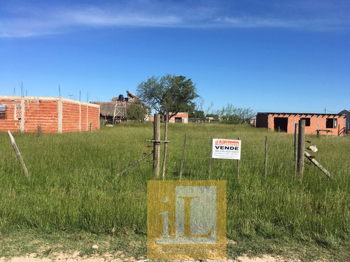 Venta De Lotes En Domselaar