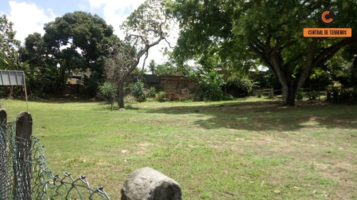 Imagem 3 de 17 de Sítio Em Abrantes - Camaçari - Ch00002 - 34599570
