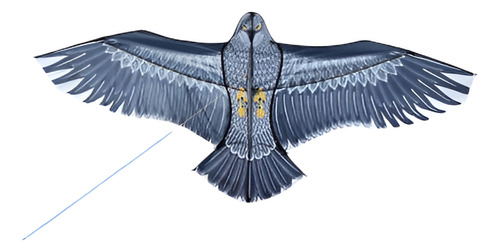 Juguete Al Aire Libre Águila Cometa Sola Línea Novedad Comet