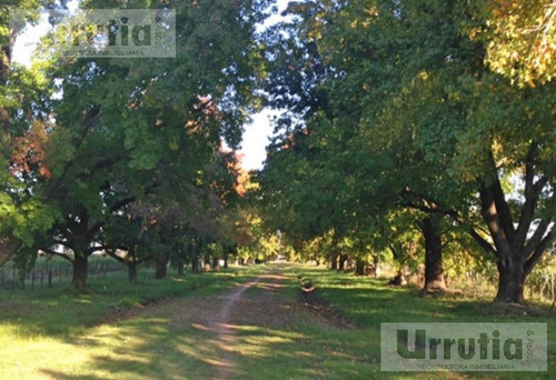 Campo De 146 Hectareas Ideal Desarrollo Urbanistico