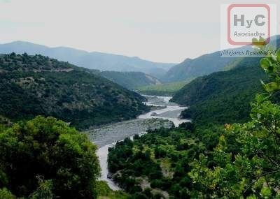 Imagen 20 de 21 de Venta Terreno 7500 M2 Con Bosque, En Idahue ¡mejor Precio!