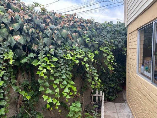 Vendemos Magnífica Casa En Comuna Quilicura