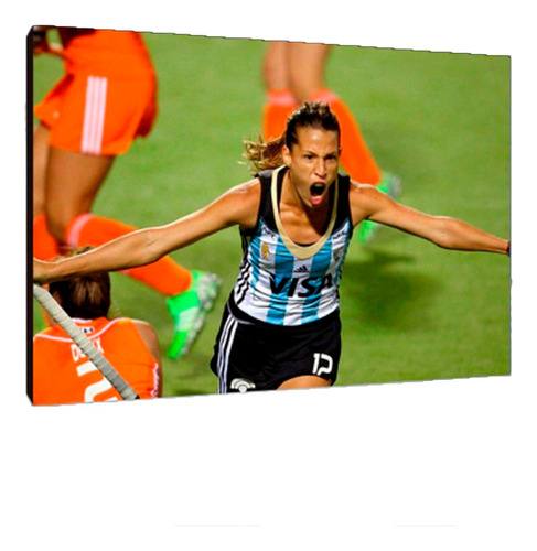 Cuadros Poster Deportes Hockey Leonas S 15x20 (dmh (1))