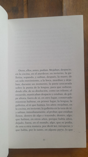 La Mayor, Juan José Saer (Usado)