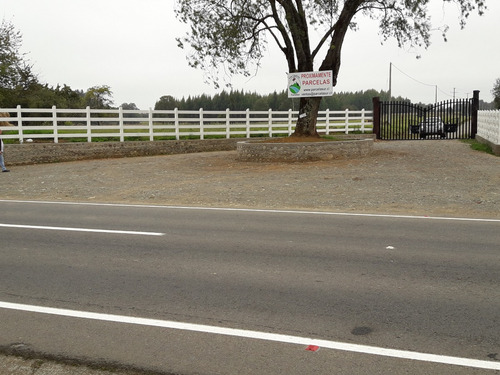 Parcela 5000 M2 Lago Ranco