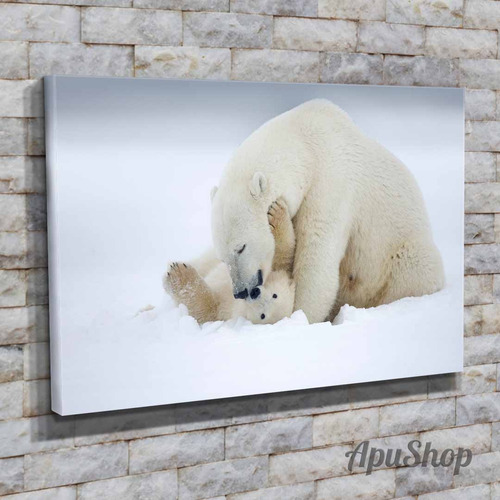 Cuadro Lienzo Canvas Oso Polar Pardo Animales Salvajes 60x40