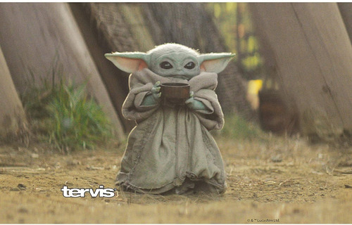 Vaso Termico Mandaloriano El Niño Baby Yoda Grogu Tervis Color Acero