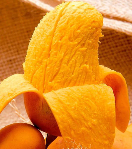 Mango Ataulfo