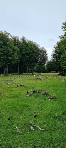 Sector Cerro Galera, Coyhaique (71829)