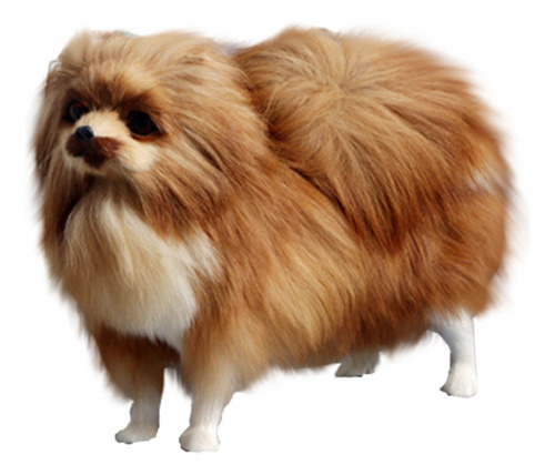 Simulación Del Modelo De Simulación R Pomeranian Dog Model P