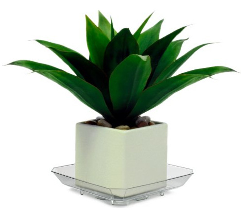 Plastec Sqro8 Square Recycled Plant Saucer 8inch