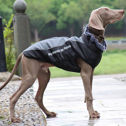Trajes Chaleco Chaqueta Abrigos De Clima Frío Perros 3xl