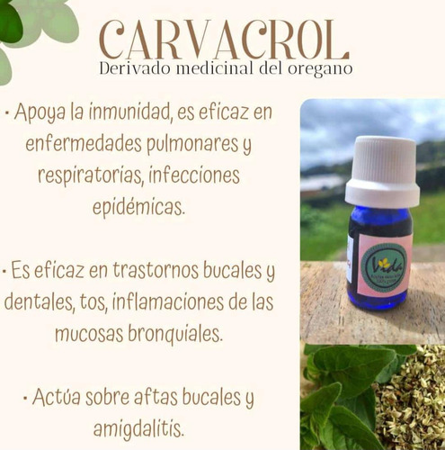 Carvacrol (compuesto Medicinal Del Oregano)