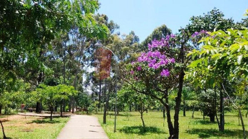 Imagem 8 de 8 de Terreno - Vila Prudente - Ref: 2950 - V-2950