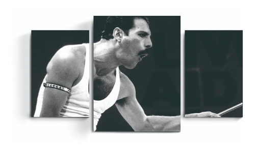 Cuadros Tripticos Queen Freddie Mercury Musica Rock Pop Deco