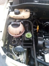 Volkisvagem