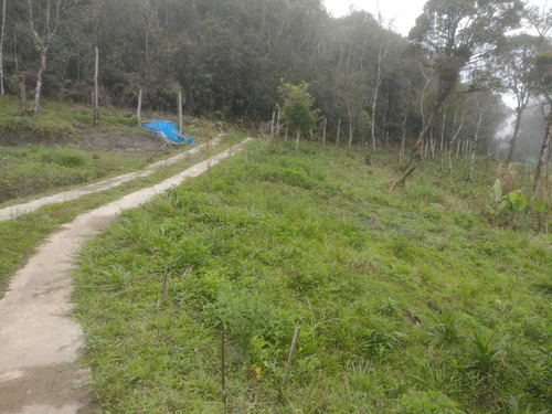 Imagem 6 de 7 de Juquitiba/sitio C/casa Simples/nascente/riacho/ref:5291