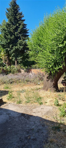 Local Comercial En Arriendo En Los Angeles