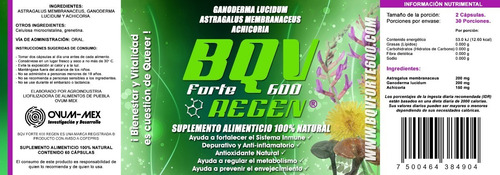 Bqv Forte600 Regen