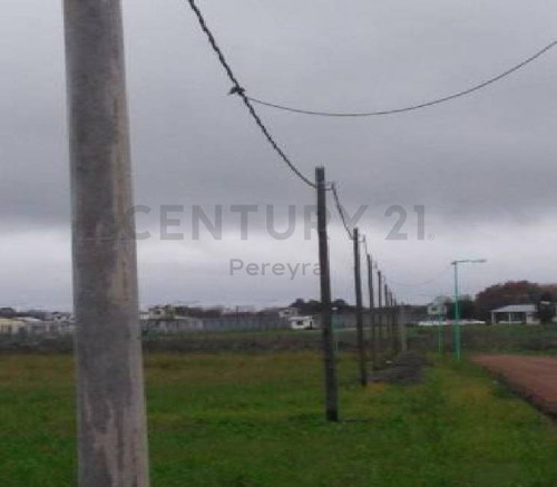 Imagen 27 de 30 de 147 Y 486 Lote En Venta, En Fincas Gorina.-