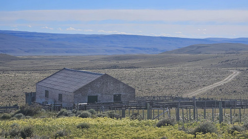 Campo En Santa Cruz