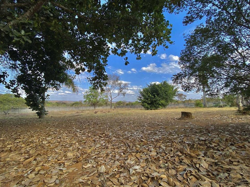 Imagem 17 de 22 de Tororó Chácara Com 21.140² Com Lote Plano E Todo Cercado, A Casa Possui 3 Quartos Sendo 2 Suítes, 5 Vagas D Garagem E Muito Mais! - Villa132506