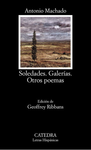 Soledades - Galerías - Otros Poemas, Machado, Cátedra