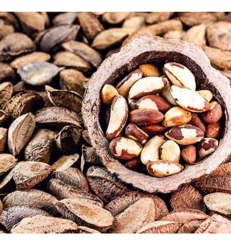 Castanha Do Brasil Natural Com Casca 800g