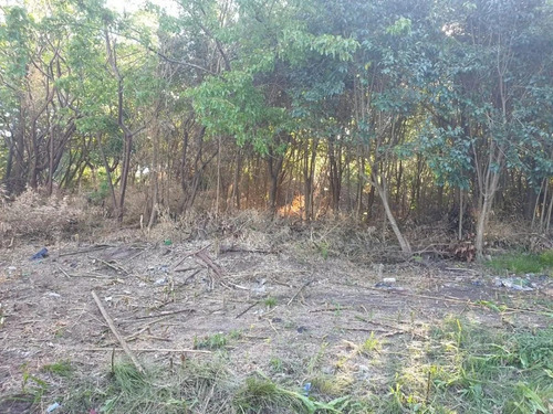 Imagen 4 de 7 de Terreno - Del Viso